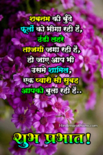 सुप्रभात - शुभ प्रभात सुविचार | Good Morning Quotes Wishes Msg Hindi