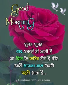 Good Morning Gulab Ka Phool Shayari